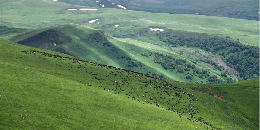 Yeşilin en güzel tonları burada buluşuyor! Türkiye’nin doğal cenneti: Havası da görüntüsü de büyülüyor 3
